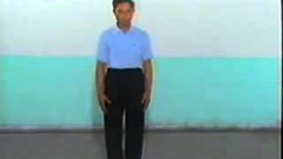 Zhineng Qigong Three Centers Merging Form 1          1   YouTube