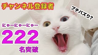 【プチバズり!?】祝！！登録者222名突破！！