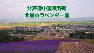 北海道中富良野町　北星山ラベンダー園2021夏