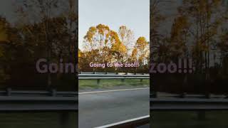 Going to the zoo core