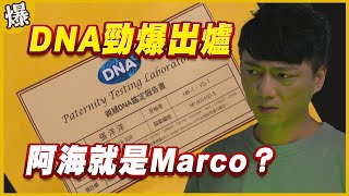 《黃金爆爆爆》黃金歲月 EP315  DNA勁爆出爐  阿海就是Marco？