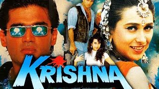 Krishna Movie | Krishna Full Hindi Action Movie| Sunil Shetty | Karisma Kapoor's, Shakti Kapoor