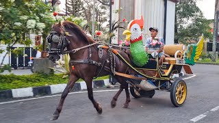 KUDA - KUDA DELMAN |  NAIK DELMAN | LAGU AJOJING TERBARU- kuda delman indonesia