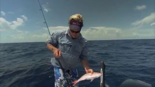 Key Largo Snapper Fishing Offshore with Chicken Rigs