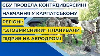 СБУ провела контрдиверсійні навчання у карпатському регіоні