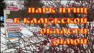 Парк птиц в Калужской области. Куда поехать на выходные? Птиц смотрим!