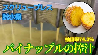 パイナップルの脱水動画（スクリュープレス脱水機）