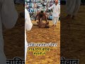 nasir pahalvan letest kushti trending shorts kushti dangal