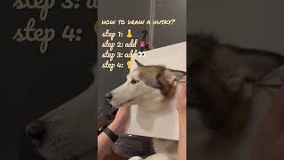 How to draw a husky ft. Mina Lisa