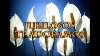 Hino 14: JUBILOSOS TE ADORAMOS. Hinário Adventista do Sétimo Dia (Hinário IASD)