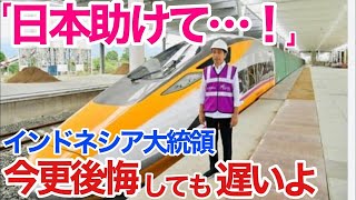 【海外の反応】それな！日本騙される！経営破綻の可能性!中国にさらわれたインドネシア高速鉄道プロジェクトはいま…【世界のそれな】