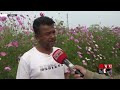 শত কোটি টাকার ফুল বিক্রির আশা flower garden godkhali jessore somoy tv