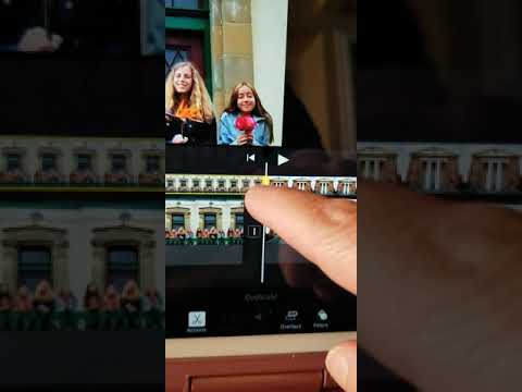 How to crop fit a vertical picture on an iPad using iMovie
