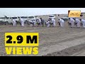 Download Dogs Race in Saudi Arabia In Mp4 3Gp Full HD Video