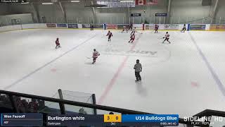 U14 Bulldogs Blue vs. Burlington white (2025.01.21)