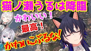 【貴重】一ノ瀬うるはのかわいさにキレる花芽すみれ【一ノ瀬うるは/花芽すみれ/空澄セナ/ぶいすぽっ！/APEX/切り抜き】