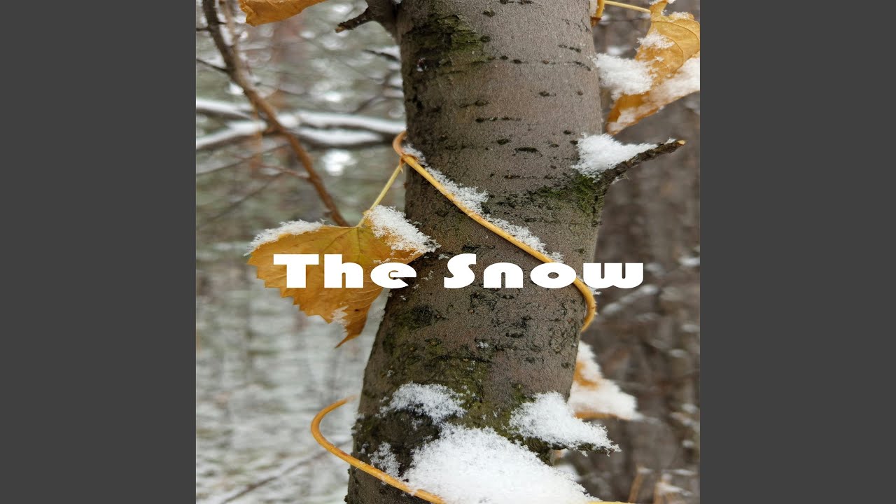 Ndikuda Mali Youtube