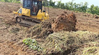 trator de esteira D51 komatsu fazendo limpeza