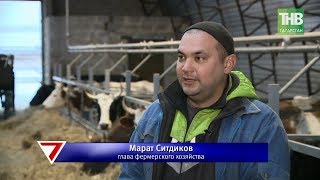 В Бугульминском районе в ближайшие три года построят три мегафермы. 7 дней | ТНВ