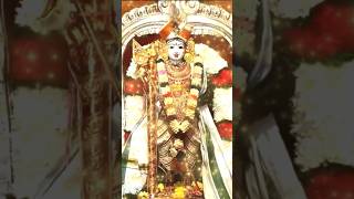 Om murugan #muruganadimai #thiruparankundram #palamuthircholai #tamilgodmurugan #shorts #video