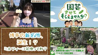 園芸チャンネル【園芸させてもらえませんか？】#29 博多の新名所、誕生!?ミルフィーユ花壇とは？（2021年11月07日OA）