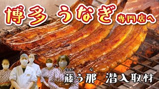 【福岡】博多うなぎ専門店「藤う那」美味さの秘密を潜入取材！