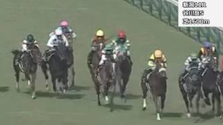 2017年4月29日・30日新潟競馬制裁事象【丸田恭介・松若風馬騎乗停止】