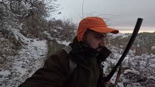 Лов на дивa свиня🐗wild boar hunting🐗domuz avı🐗#wildboarhunting #Bulgaria#hunter