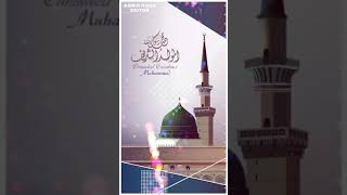 New Beautiful Eid Milad-Un-Nabi Special Qawwali Status | Tera_Khawan_Tere_Geet|  AAMIR KING STATUS