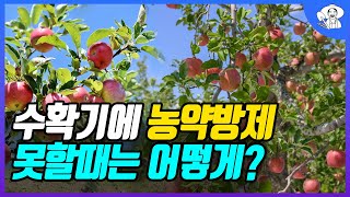 친환경 살충제가 효과 없는 이유? 제충국 님오일 데리스 고삼추출물