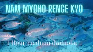 60-minute Daimoku - medium speed  Nam Myoho Renge Kyo