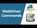 Selenium with Python Tutorial 3-WebDriver Commands