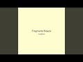 Fragments Breeze