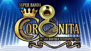 "SUPER BANDA CORONITA" DE SAN BARTOLO TUTOTEPEC 🎭🎭🎭