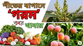 শীতে দিন বিশেষ খাবার: গাছ-ফুল-ফলের বৃদ্ধি হবে নজরকাড়া | Keep Plants Warm: Secret Nutrient Revealed