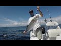 slow trolling live bait for mackerel u0026 yellowfin tuna quick tutorial