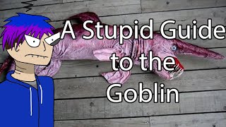 A Stupid Guide To The Goblin Depth Guide