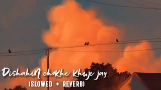 Dishahin chokhe khuje jay bengali (slow and reverb)+(birds chirping) lofi।❤️