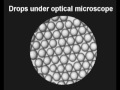 dispersion cell for membrane emulsification