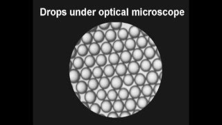 Dispersion Cell for Membrane Emulsification