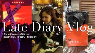 Late Diary Vlog | The last few days of the year. 年末的幾天,看電影,看演唱會 it's berrym