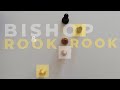 Rook and Bishop vs Rook Endgame