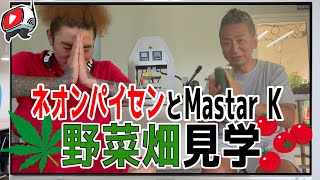 【パイセンネオン/MasterK】最終回「野菜畑を見学してみた！」【週刊YouTube!プラス】