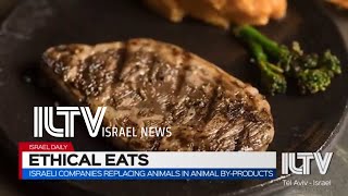 Israeli companies replacing animals in animal by-products