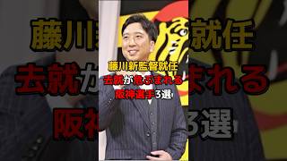 藤川新監督就任・去就が危ぶまれる阪神選手3選　#プロ野球#野球