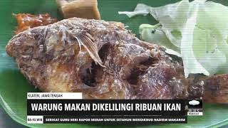 Warung Makan Dikelilingi Ribuan Ikan | REDAKSI PAGI (26/10/20)