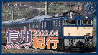 【拍手喝采・警笛あり】信州カシオペア紀行を稲荷山で撮る！