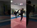 what is the name of this martial art taekwondo wingchun karate mma