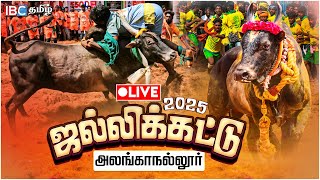 🔴LIVE : அதிரும் அலங்காநல்லூர் - சீறிப்பாயும் காளைகள் | Alanganallur Jallikattu 2025 நேரலை | IBC