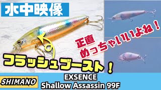 【水中映像】シャローアサシン99Fフラッシュブーストのアピールがすごい！絶対持っておきたい有能ミノーです【シーバス】